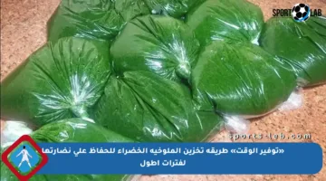 «توفير الوقت» طريقة تخزين الملوخية الخضراء للحفاظ على نضارتها لفترات أطول